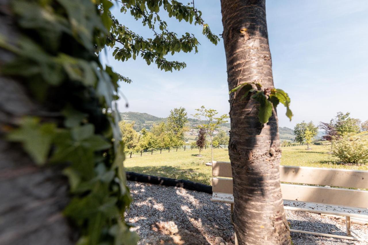 Ca' Del Magu Villa San Michele Mondovi Luaran gambar